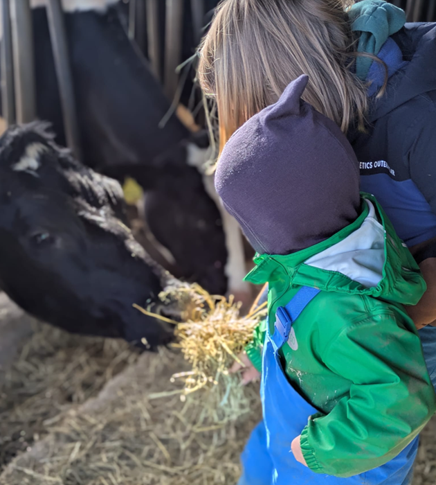 Kinder schauen zwischen den Kühen in den Stall
