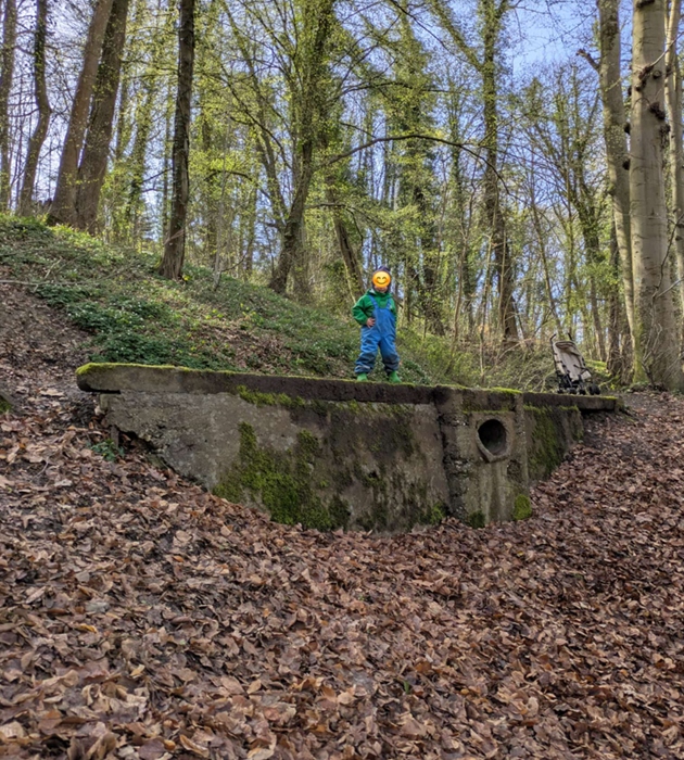 Ruhige Natur als Hintergrund